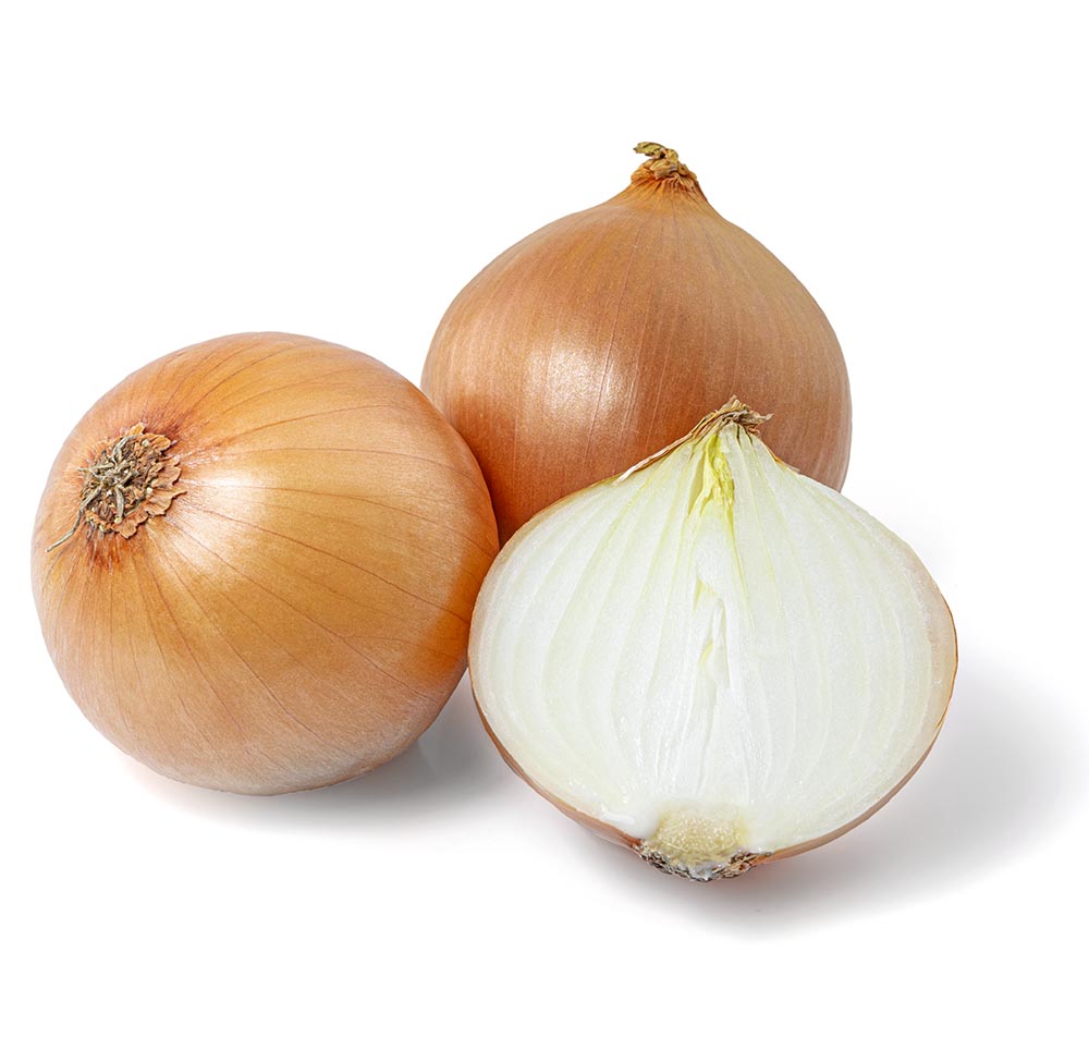 Natural fresh yellow onion isolated on white background with cli